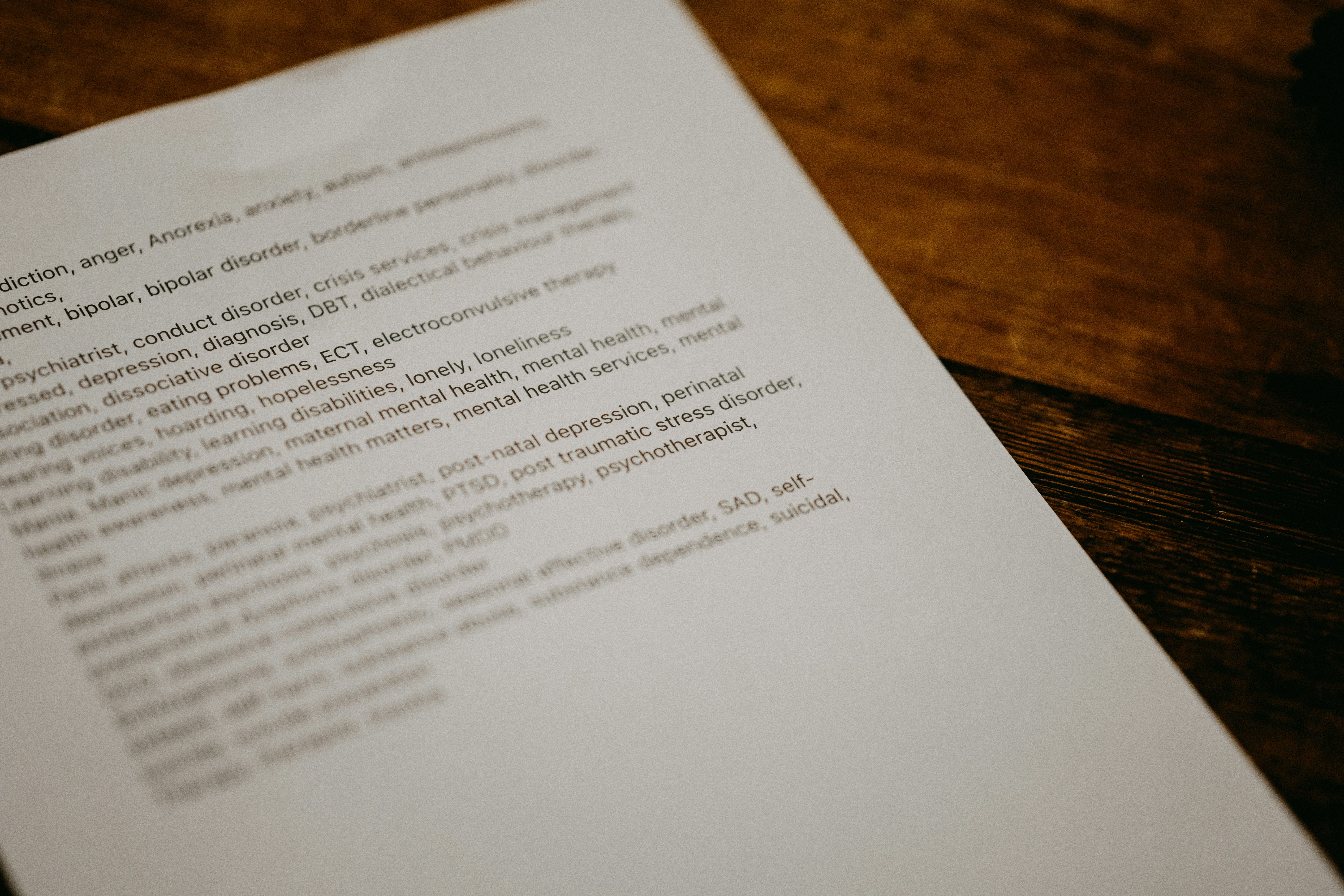 Annie Spratt CSedbvqggOg Unsplash (1)